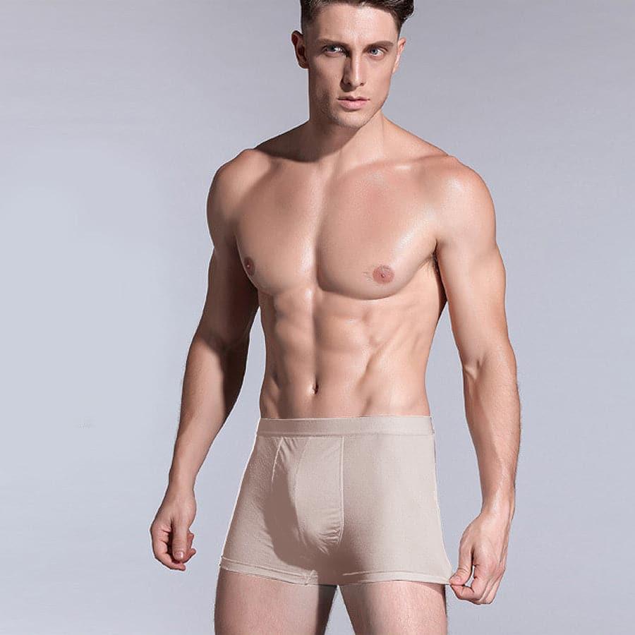 Herren Seiden Boxerbriefs Unterwäsche